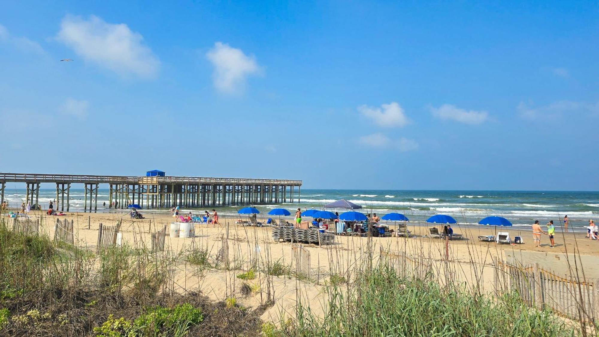 Spoonbills Sanctuary Coastal Chic 1Br Retreat 329 Apartment South Padre Island Exterior photo